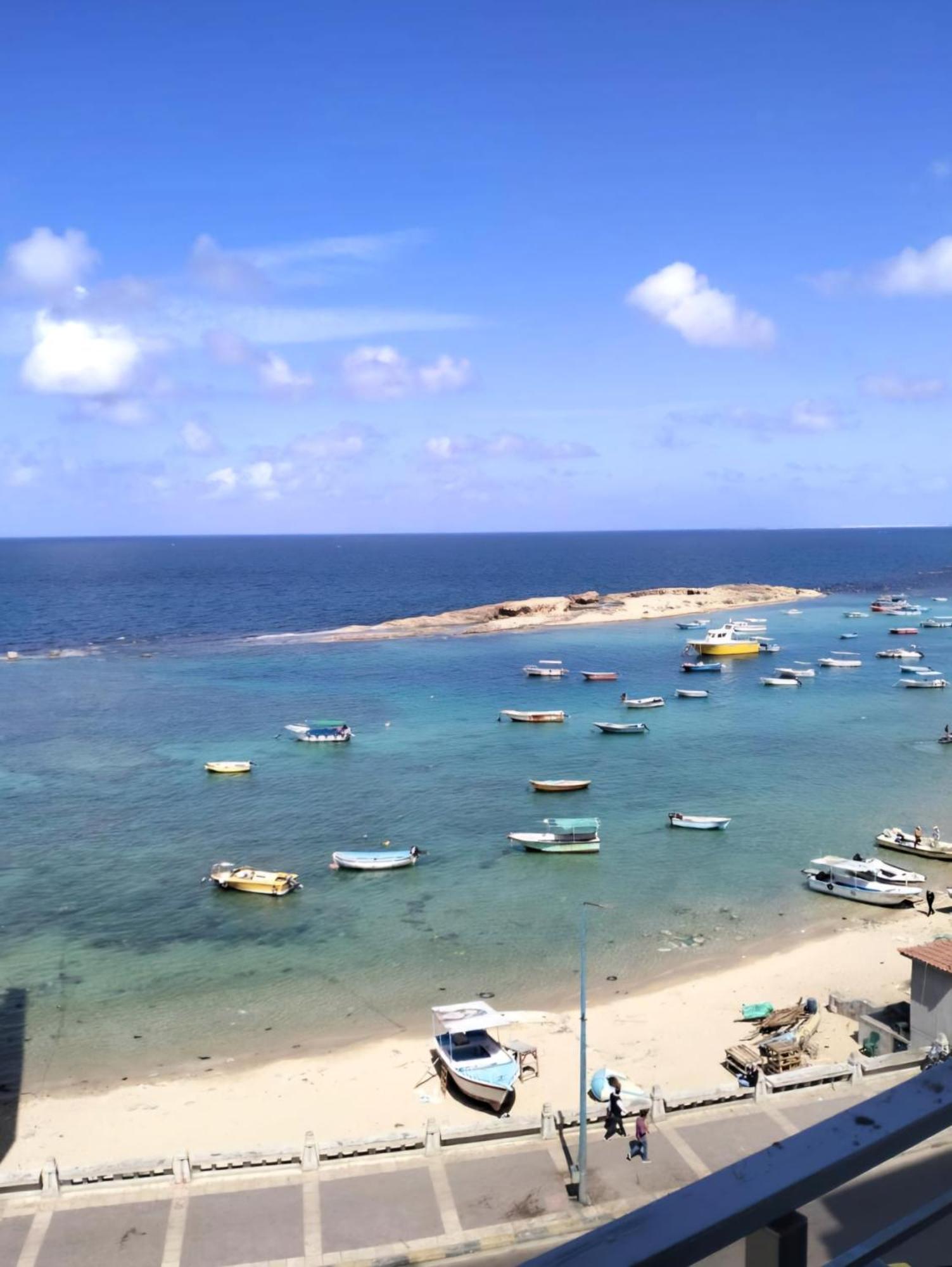 Amazing Sea View In The Heart Of Alexandrie
